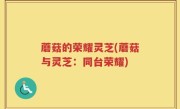 蘑菇的荣耀灵芝(蘑菇与灵芝：同台荣耀)