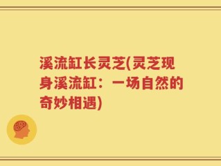溪流缸长灵芝(灵芝现身溪流缸：一场自然的奇妙相遇)