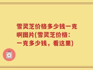 雪灵芝价格多少钱一克啊图片(雪灵芝价格：一克多少钱，看这里)