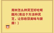 用树怎么种灵芝好吃呢图片(用这个方法种灵芝，让你收获美味与健康！)