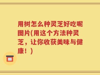 用树怎么种灵芝好吃呢图片(用这个方法种灵芝，让你收获美味与健康！)