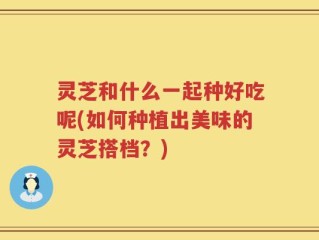 灵芝和什么一起种好吃呢(如何种植出美味的灵芝搭档？)