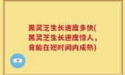 黑灵芝生长速度多快(黑灵芝生长速度惊人，竟能在短时间内成熟)