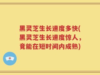 黑灵芝生长速度多快(黑灵芝生长速度惊人，竟能在短时间内成熟)
