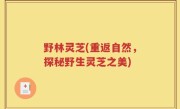 野林灵芝(重返自然，探秘野生灵芝之美)