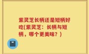 紫灵芝长柄还是短柄好吃(紫灵芝：长柄与短柄，哪个更美味？)