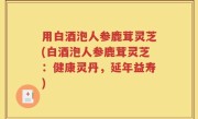 用白酒泡人参鹿茸灵芝(白酒泡人参鹿茸灵芝：健康灵丹，延年益寿)