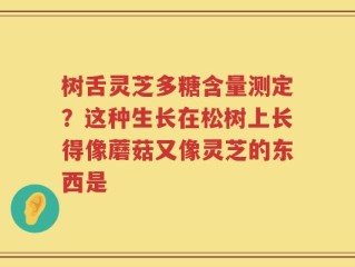 树舌灵芝多糖含量测定？这种生长在松树上长得像蘑菇又像灵芝的东西是