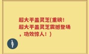 超大平盖灵芝(重磅！超大平盖灵芝震撼登场，功效惊人！)