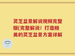 灵芝盆景解说视频完整版(完整解说！打造精美的灵芝盆景方案详解