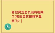 老挝灵芝怎么没有视频了(老挝灵芝视频不翼而飞？)