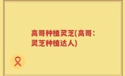 高哥种植灵芝(高哥：灵芝种植达人)