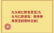九九和仁野生灵芝(九九与仁野求生：探寻神奇灵芝的奇妙之旅)