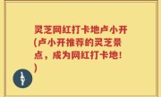 灵芝网红打卡地卢小开(卢小开推荐的灵芝景点，成为网红打卡地！)