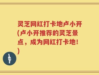 灵芝网红打卡地卢小开(卢小开推荐的灵芝景点，成为网红打卡地！)