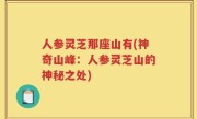 人参灵芝那座山有(神奇山峰：人参灵芝山的神秘之处)