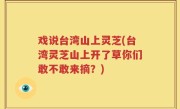 戏说台湾山上灵芝(台湾灵芝山上开了草你们敢不敢来摘？)