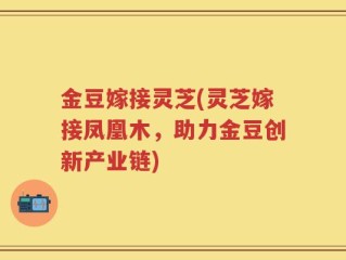 金豆嫁接灵芝(灵芝嫁接凤凰木，助力金豆创新产业链)