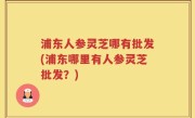 浦东人参灵芝哪有批发(浦东哪里有人参灵芝批发？)