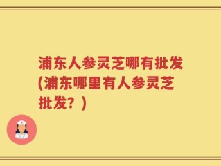 浦东人参灵芝哪有批发(浦东哪里有人参灵芝批发？)