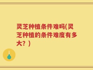 灵芝种植条件难吗(灵芝种植的条件难度有多大？)