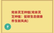宛田灵芝种植(宛田灵芝种植：低碳生态健康养生新风尚)