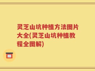 灵芝山坑种植方法图片大全(灵芝山坑种植教程全图解)