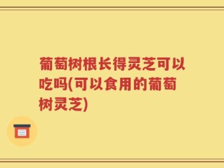 葡萄树根长得灵芝可以吃吗(可以食用的葡萄树灵芝)