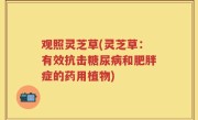 观照灵芝草(灵芝草：有效抗击糖尿病和肥胖症的药用植物)