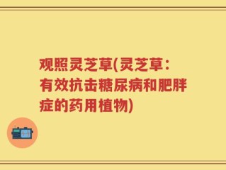 观照灵芝草(灵芝草：有效抗击糖尿病和肥胖症的药用植物)