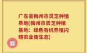 广东省梅州市灵芝种植基地(梅州市灵芝种植基地：绿色有机养殖闪耀农业新生态)