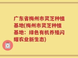 广东省梅州市灵芝种植基地(梅州市灵芝种植基地：绿色有机养殖闪耀农业新生态)
