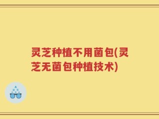 灵芝种植不用菌包(灵芝无菌包种植技术)