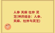 人参 天麻 杜仲 灵芝(神药组合：人参、天麻、杜仲与灵芝)