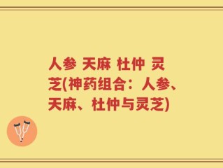人参 天麻 杜仲 灵芝(神药组合：人参、天麻、杜仲与灵芝)