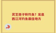 灵芝孢子粉钓鱼？龙泉西江河钓鱼最佳地方