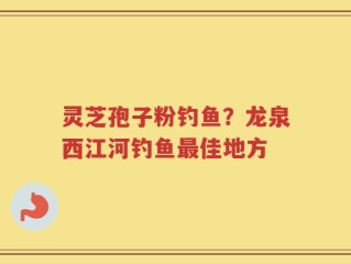 灵芝孢子粉钓鱼？龙泉西江河钓鱼最佳地方