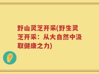 野山灵芝开采(野生灵芝开采：从大自然中汲取健康之力)
