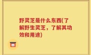 野灵芝是什么东西(了解野生灵芝，了解其功效和用途)