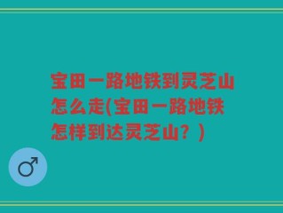 宝田一路地铁到灵芝山怎么走(宝田一路地铁怎样到达灵芝山？)