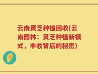 云南灵芝种植回收(云南园林：灵芝种植新模式，丰收背后的秘密)