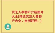 灵芝人参特产介绍图片大全(精选灵芝人参特产大全，亲测好评！)