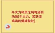 牛大力和灵芝炖鸡汤的功效(牛大力、灵芝炖鸡汤的健康益处)