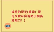 成片的灵芝(重磅！灵芝又被证实有助于提高免疫力！)