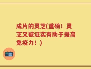 成片的灵芝(重磅！灵芝又被证实有助于提高免疫力！)