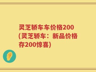 灵芝轿车车价格200(灵芝轿车：新品价格存200惊喜)