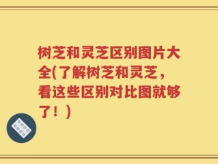 树芝和灵芝区别图片大全(了解树芝和灵芝，看这些区别对比图就够了！)