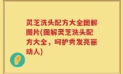 灵芝洗头配方大全图解图片(图解灵芝洗头配方大全，呵护秀发亮丽动人)