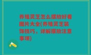 养殖灵芝怎么摆放好看图片大全(养殖灵芝装饰技巧，详解摆放注意事项)