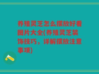 养殖灵芝怎么摆放好看图片大全(养殖灵芝装饰技巧，详解摆放注意事项)